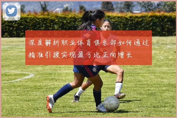 深度解析职业体育俱乐部如何通过精准引援实现盈亏比正向增长